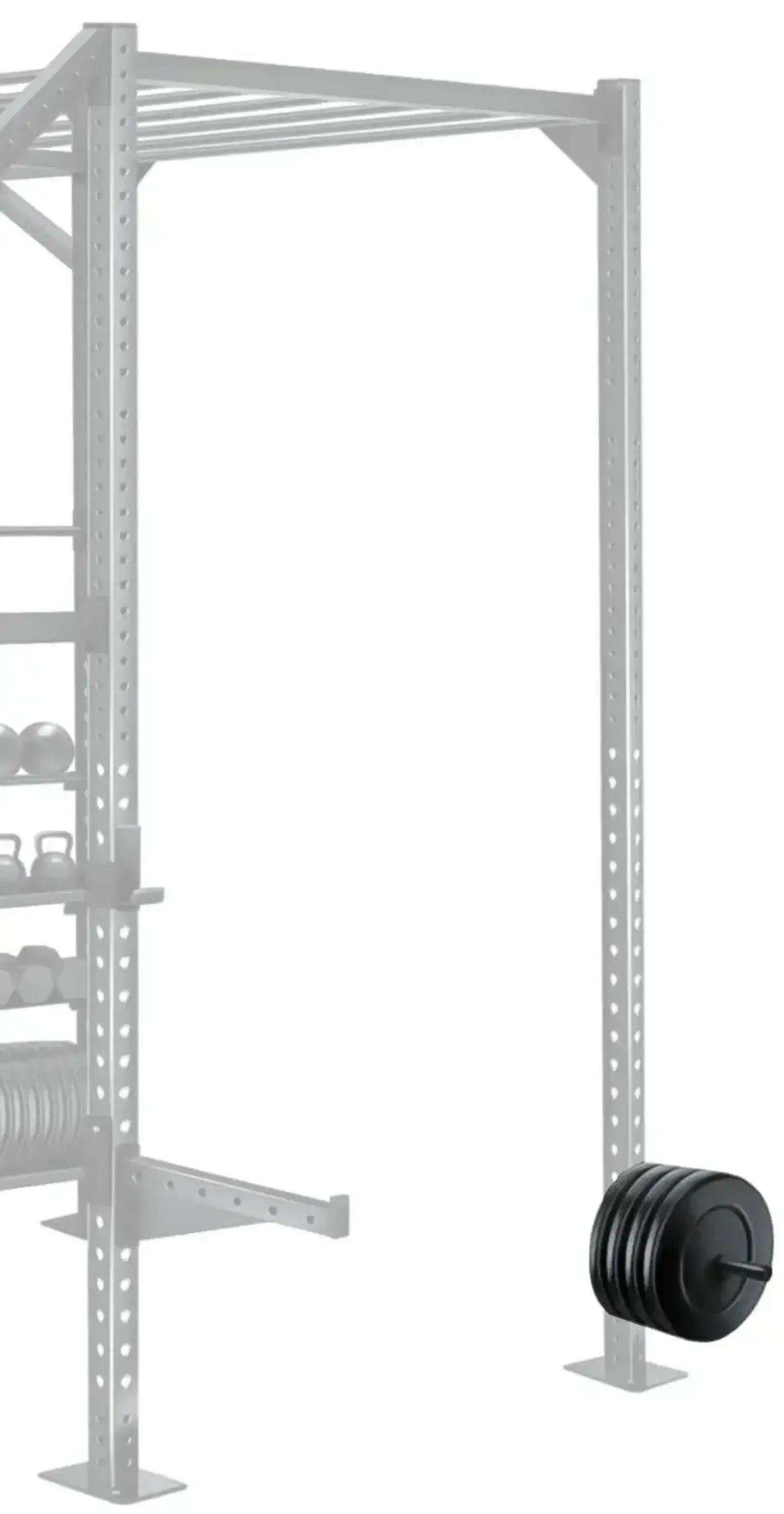 French Fitness Rack & Rig 14" Weight Storage Horn Attachment (New) Image 2