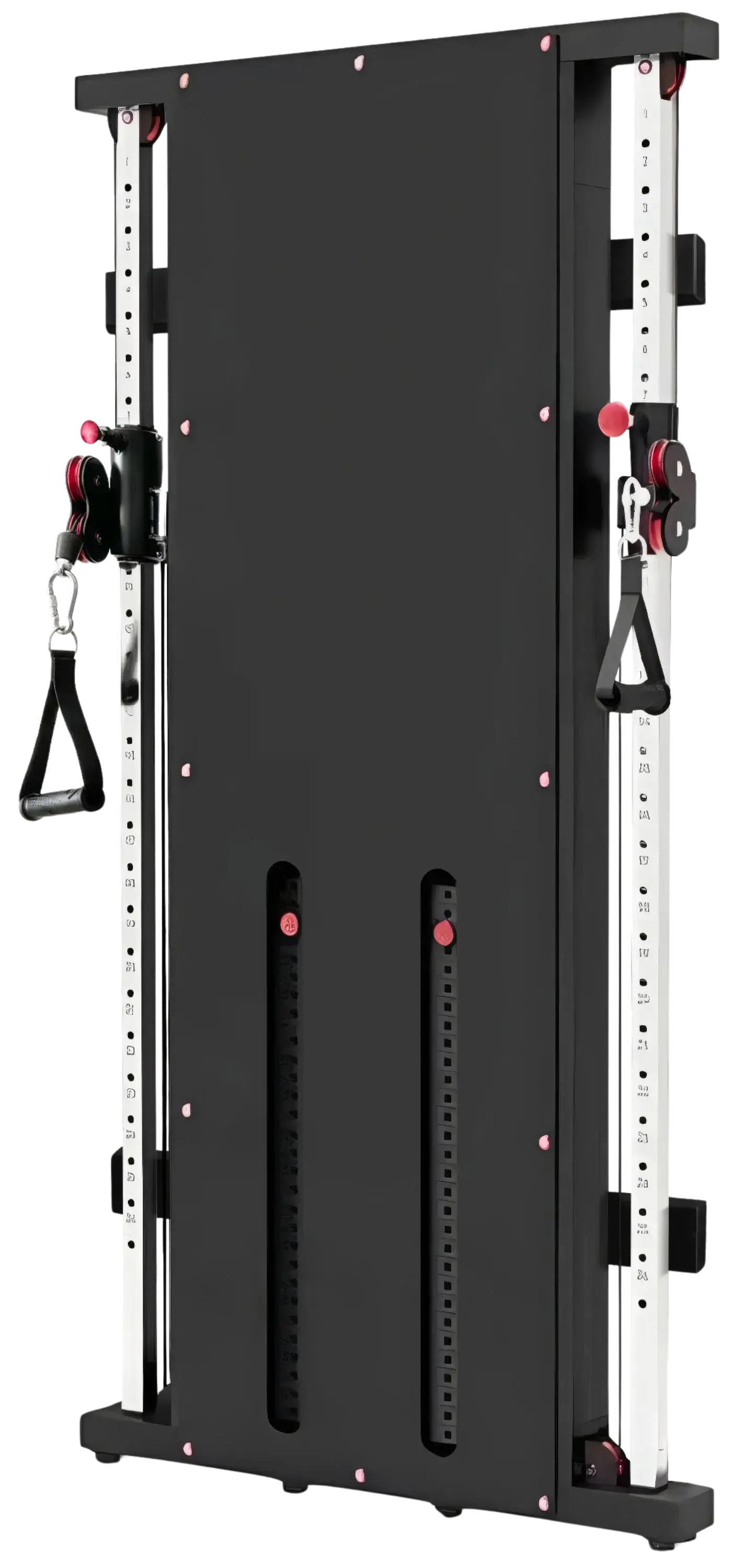 French Fitness Wall Mounted Dual Cable Column Component (New) Image