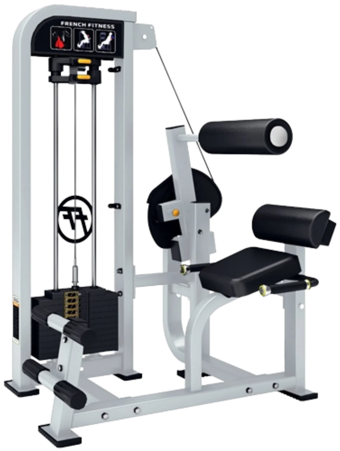 French Fitness Shasta Selectorized Back Extension (New) Image