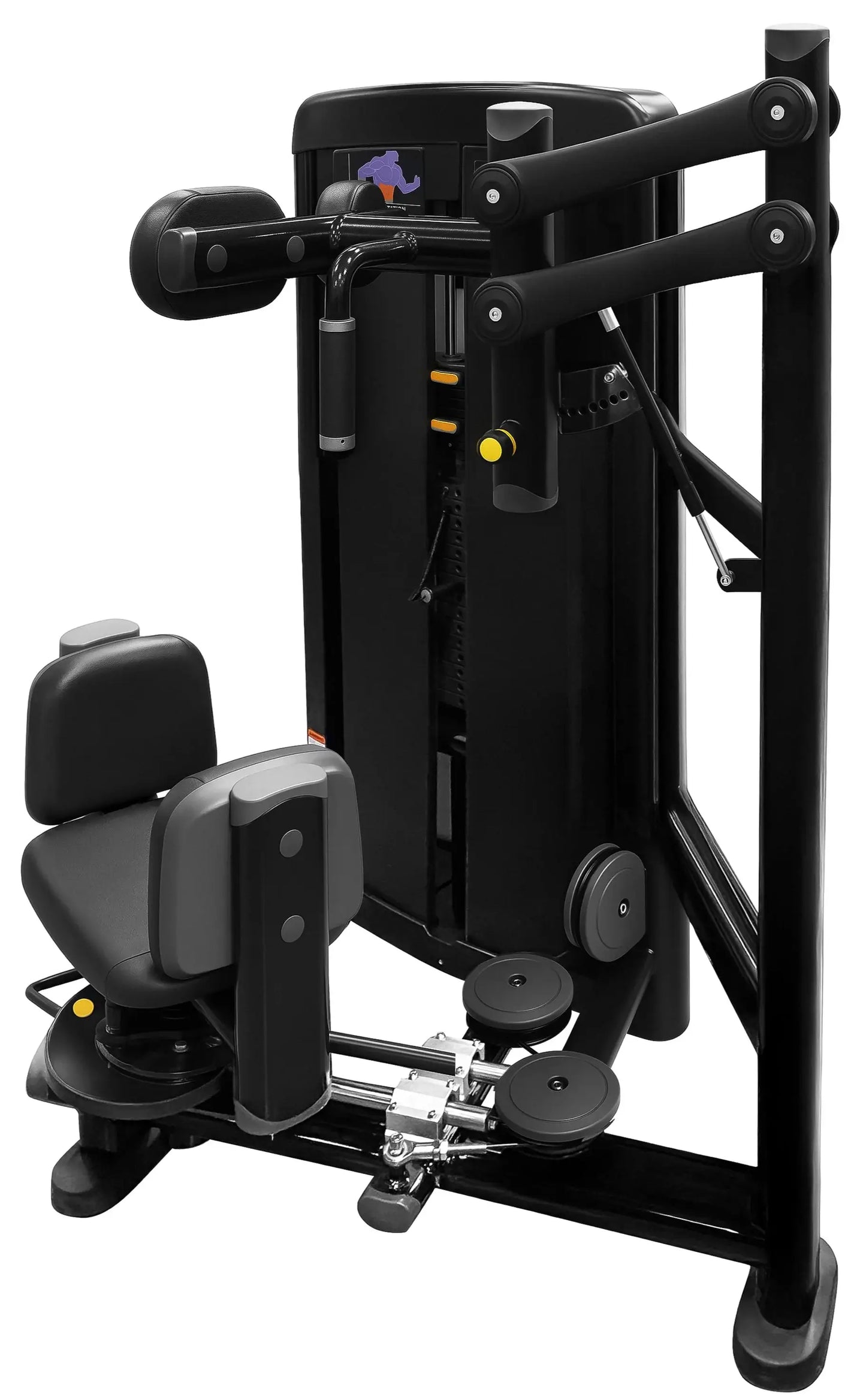 French Fitness Telluride Torso Rotation (New) Image 2