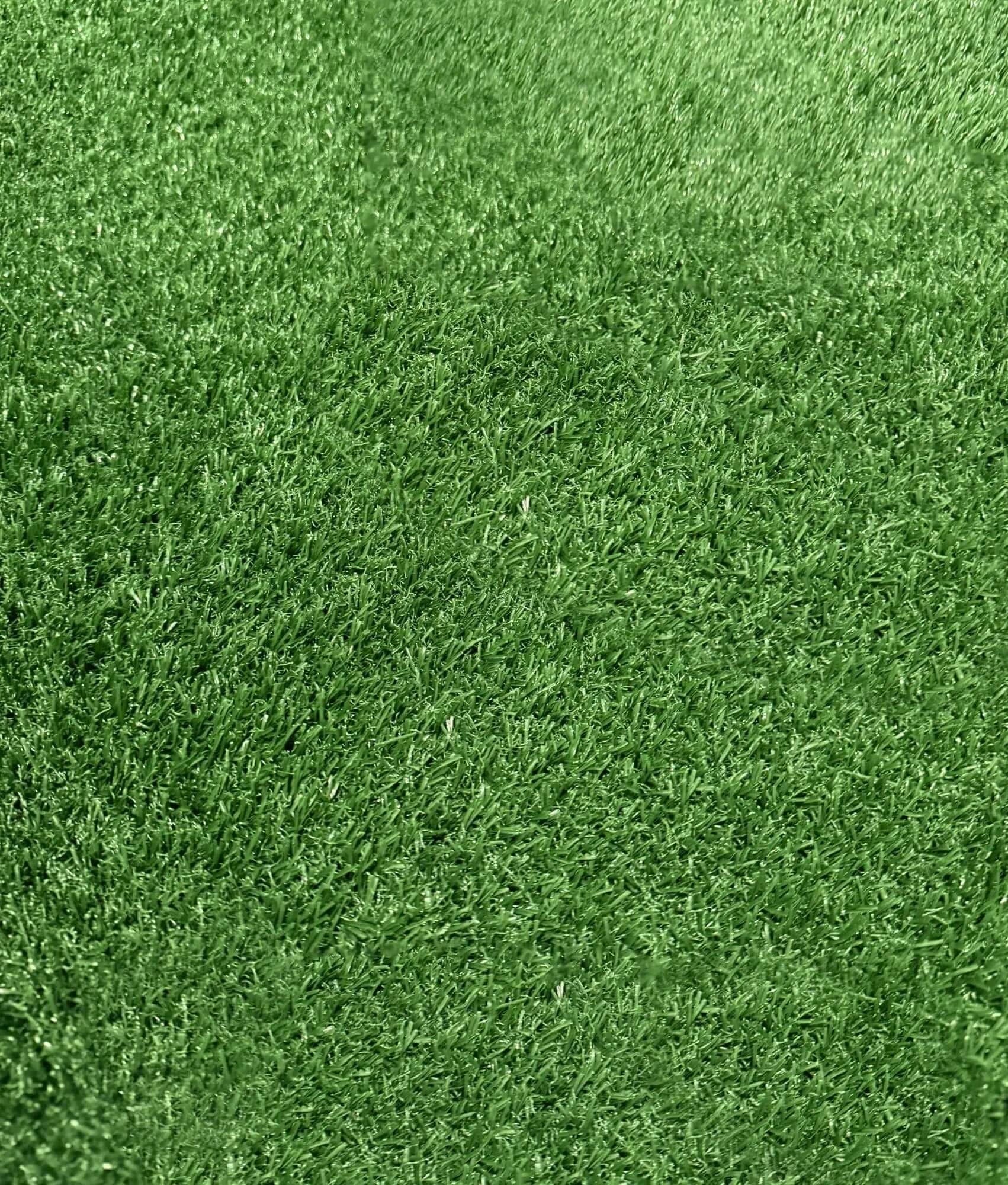 French Fitness Artificial Grass Synthetic Lawn Turf Flooring Roll 65.5' x 6.5' - Density: 21000 / 9500D Image 5