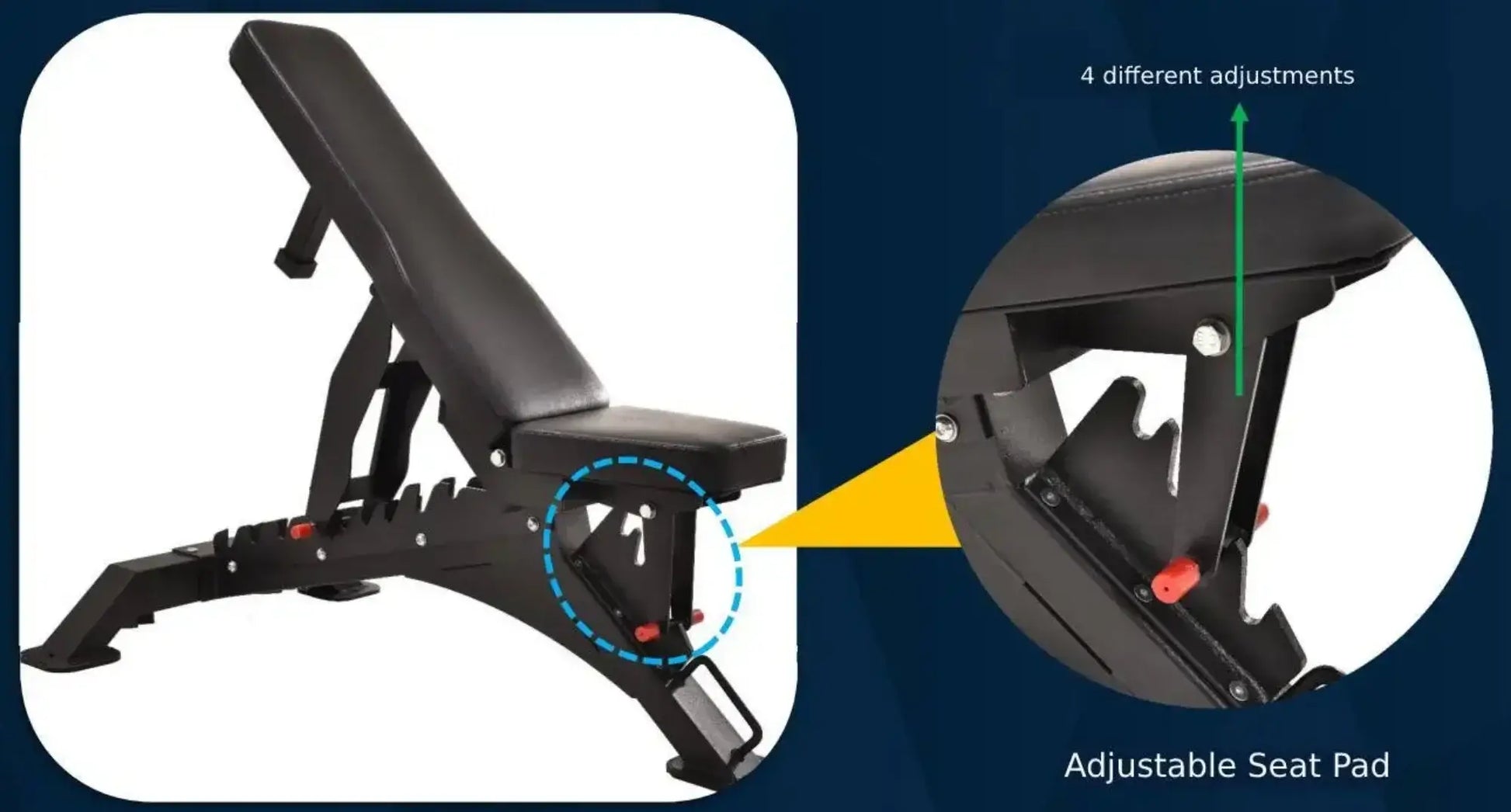 French Fitness FSR50-AB Adjustable Bench (New) Image 7