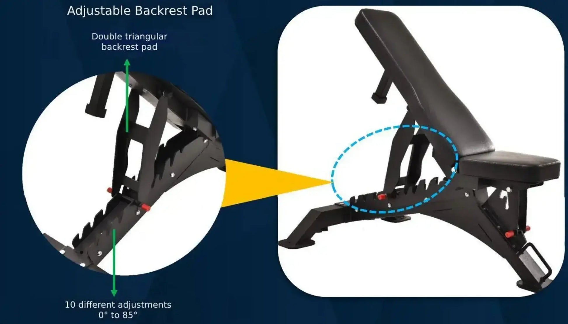 French Fitness FSR50-AB Adjustable Bench (New) Image 10