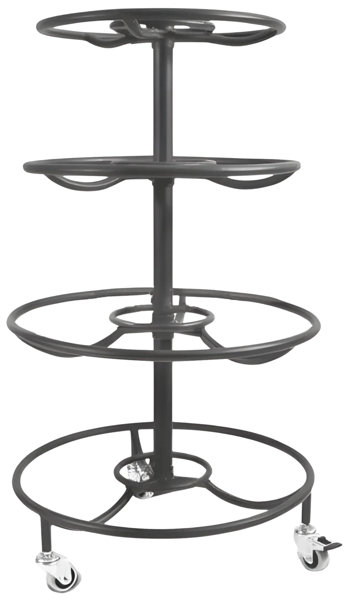 French Fitness Circular 12 Pair Mobile Medicine Ball Rack (New)