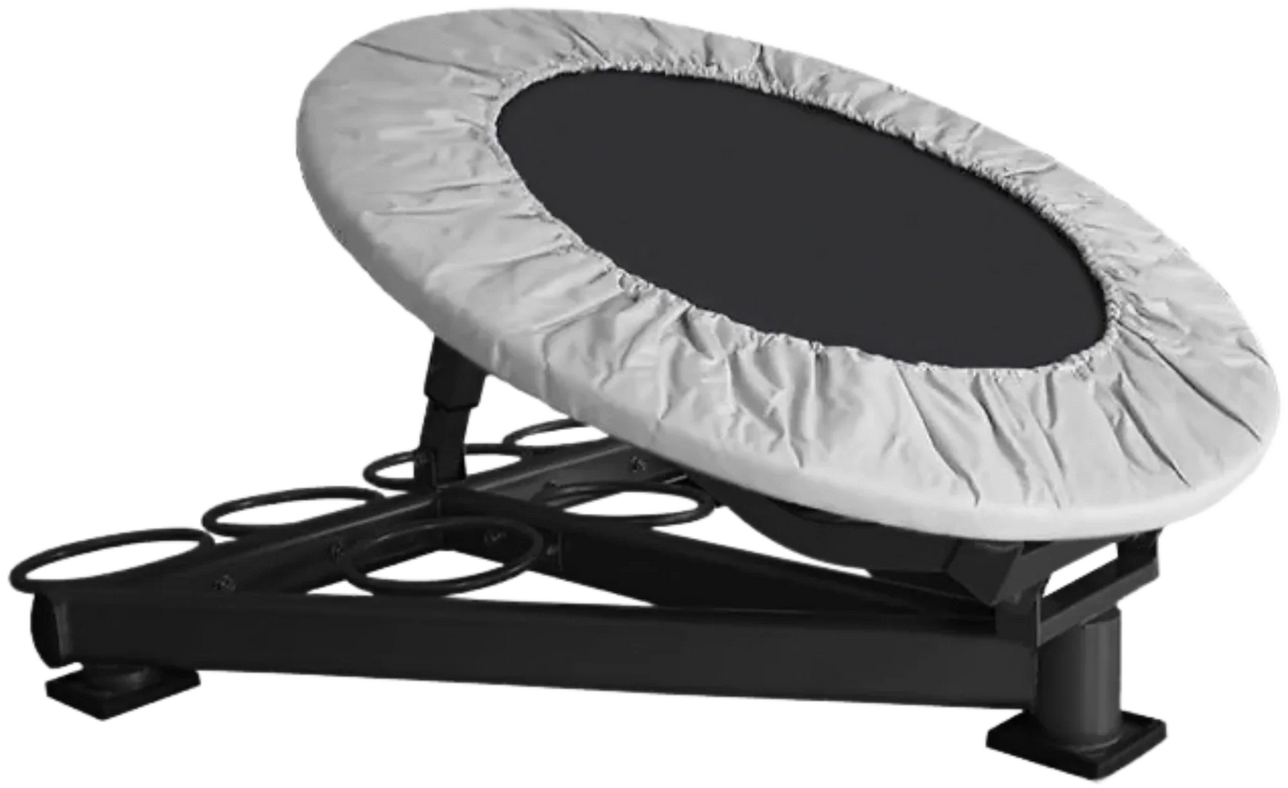 French Fitness MBR500 Medicine Ball Rebounder (New) Image