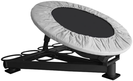 French Fitness MBR500 Medicine Ball Rebounder (New) Image