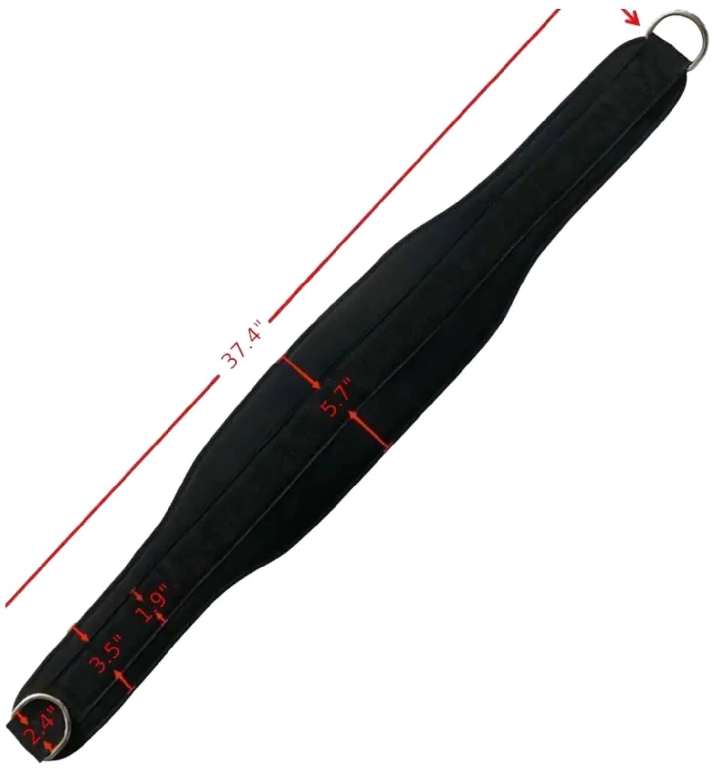 French Fitness EVA Nylon Weightlifting Belt (New) Image 6