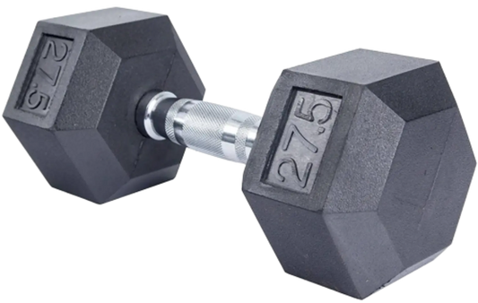 French Fitness 27.5 lb Rubber Coated Hex Dumbbell – Angled View