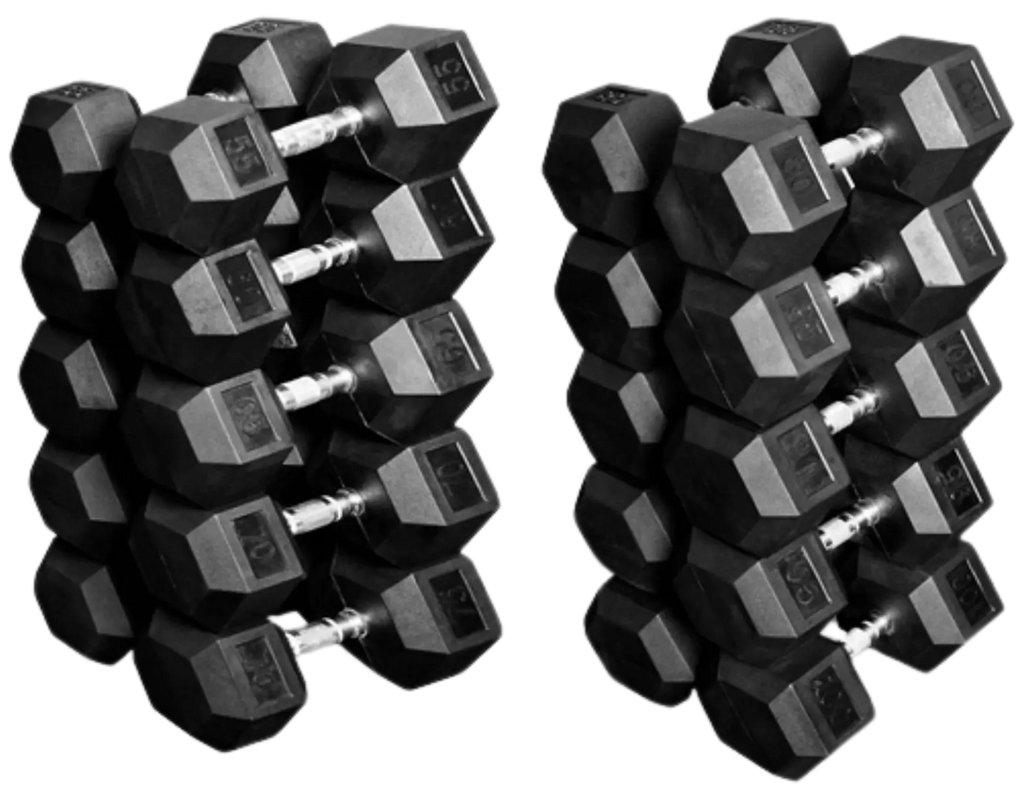 French Fitness Rubber Coated Hex Dumbbell Set 55-100 lbs (New) Image