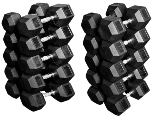 French Fitness Rubber Coated Hex Dumbbell Set 55-100 lbs (New) Image