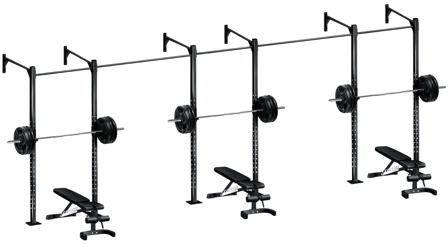 French Fitness Wall Mount Rig & Rack System 1 (New) Image