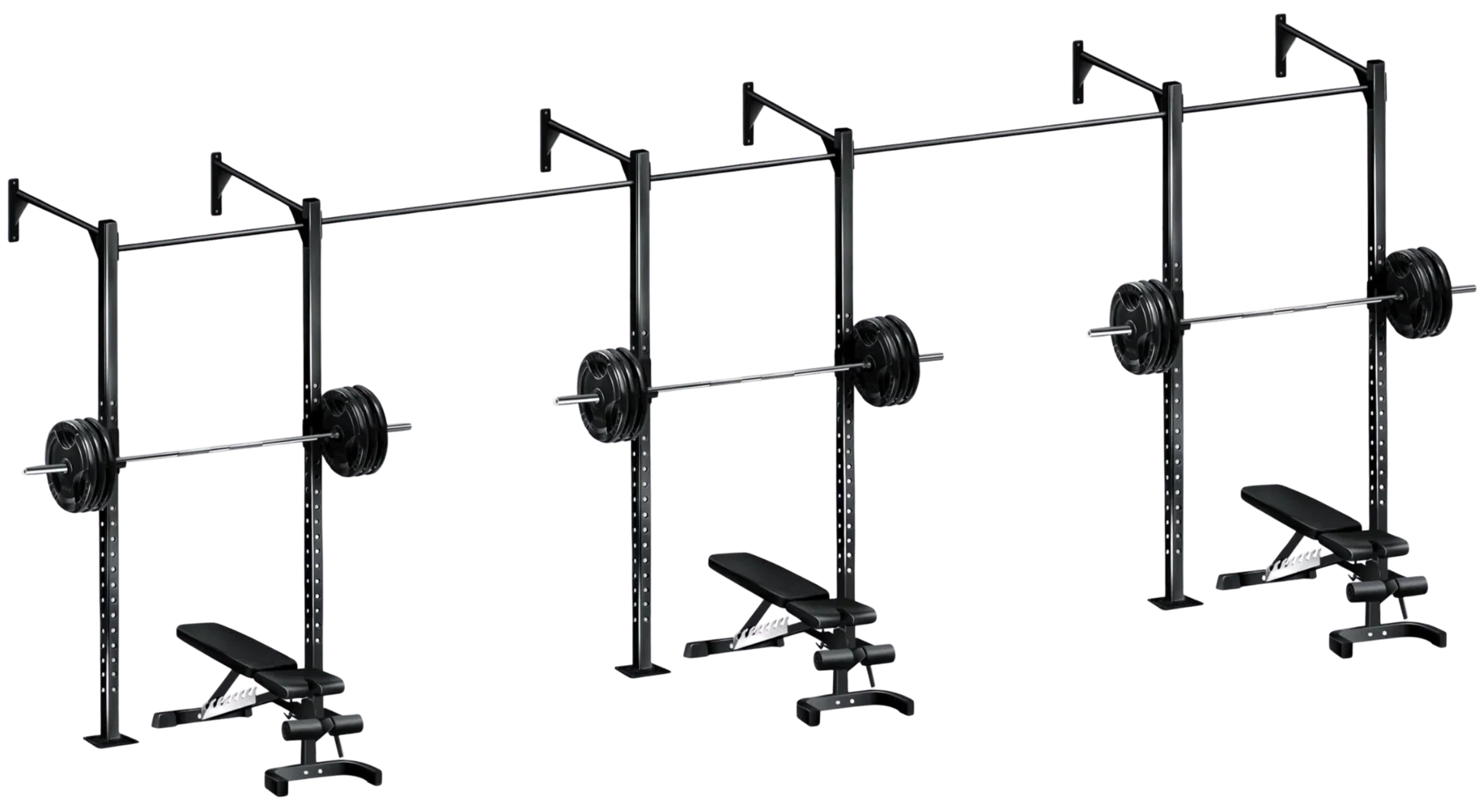 French Fitness Wall Mount Rig & Rack System 1 (New) Image