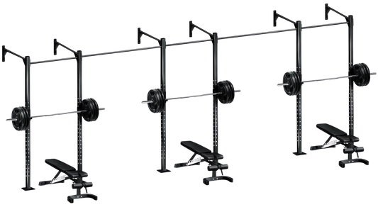 French Fitness Wall Mount Rig & Rack System 1 (New) Image