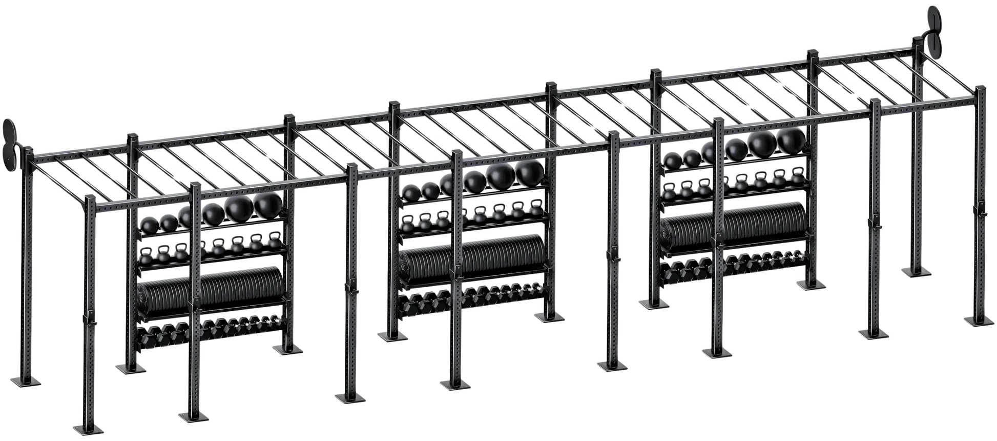 French Fitness Free Standing Rig & Rack System 20 (New) Image
