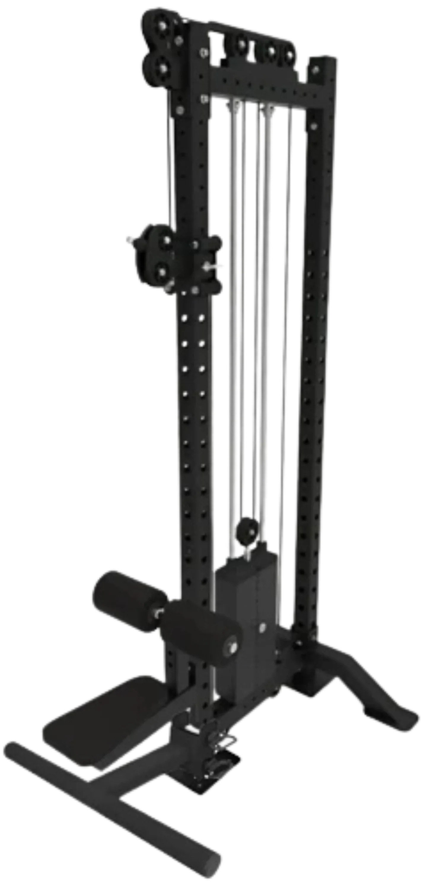 French Fitness Rack & Rig Free Standing Lat Pulldown / Low Row (New) Image