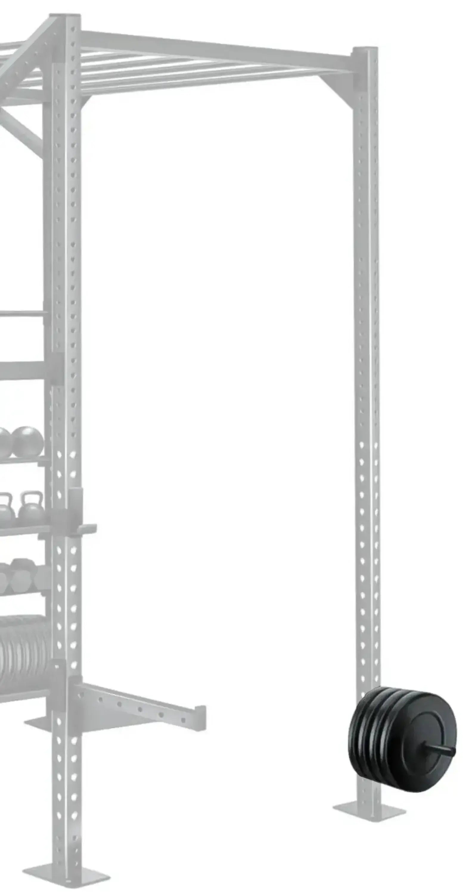 French Fitness Rack & Rig 14" Weight Storage Horn Attachment (New) Image 2