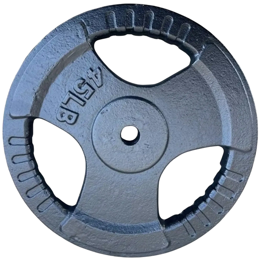 French Fitness Standard Cast Iron 1" Weight Plate 45 lbs (New) Image