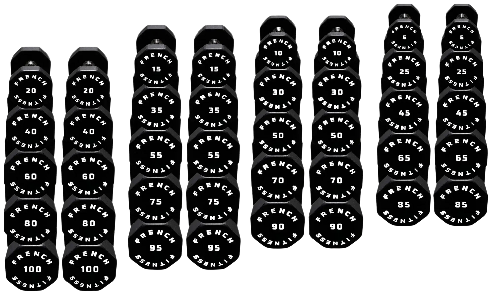 French Fitness Urethane 8 Sided Hex Dumbbell Set, 5-100 lbs (New) Image