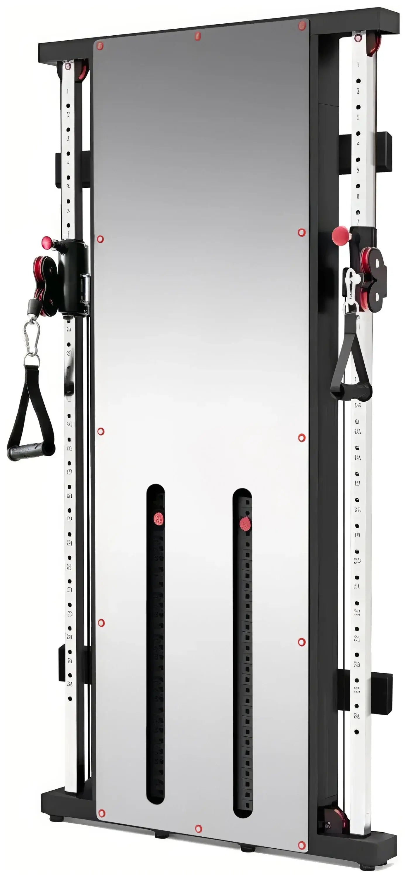 French Fitness Wall Mounted Mirror Functional Trainer Side View