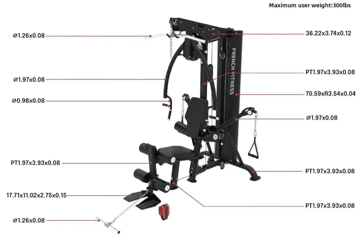 French Fitness X10 Functional Gym System (New) Image 3