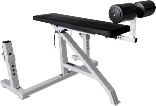 French Fitness Napa Seal Row Bench (New) Image