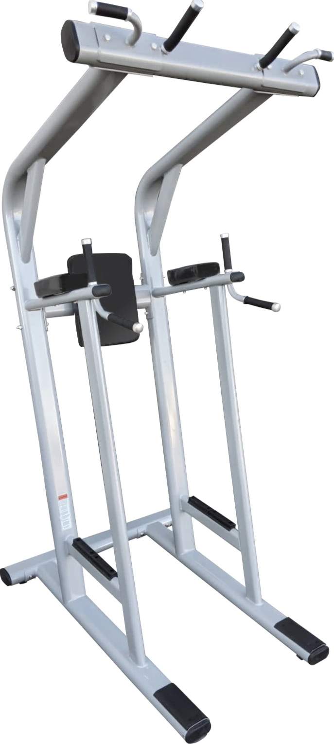French Fitness Silver FFS Pull Up / Vertical Knee Raise VKR (New) Image