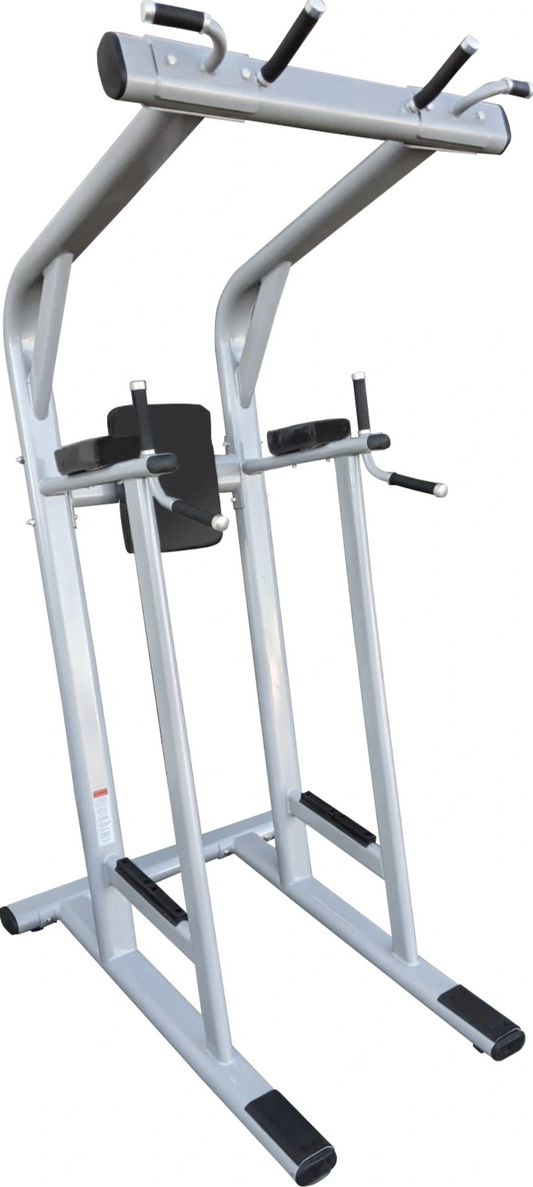 French Fitness Silver FFS Pull Up / Vertical Knee Raise VKR (New) Image