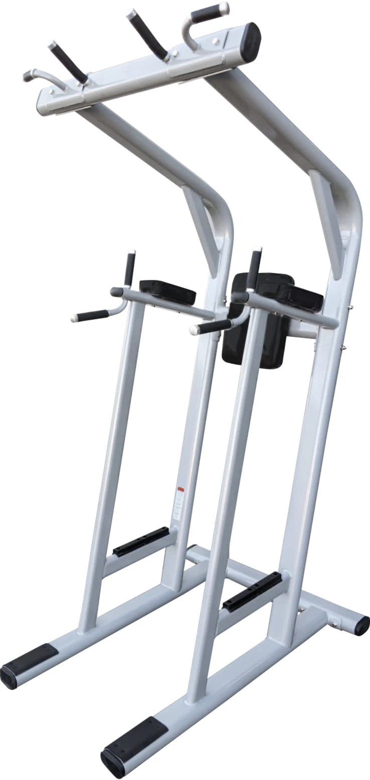 French Fitness Silver FFS Pull Up / Vertical Knee Raise VKR (New) Image 2