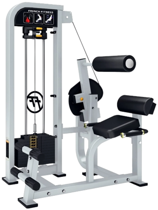 French Fitness Shasta Selectorized Back Extension (New) Image