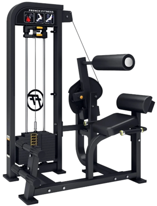 French Fitness Tahoe Selectorized Back Extension (New) Image