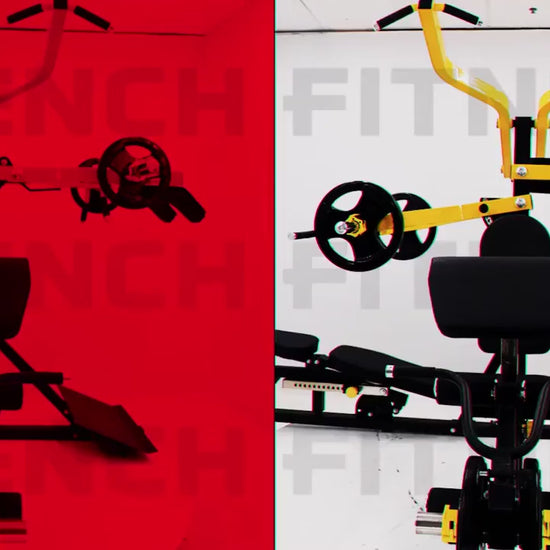 French Fitness FL100 Freeweight Leverage Gym System (New)